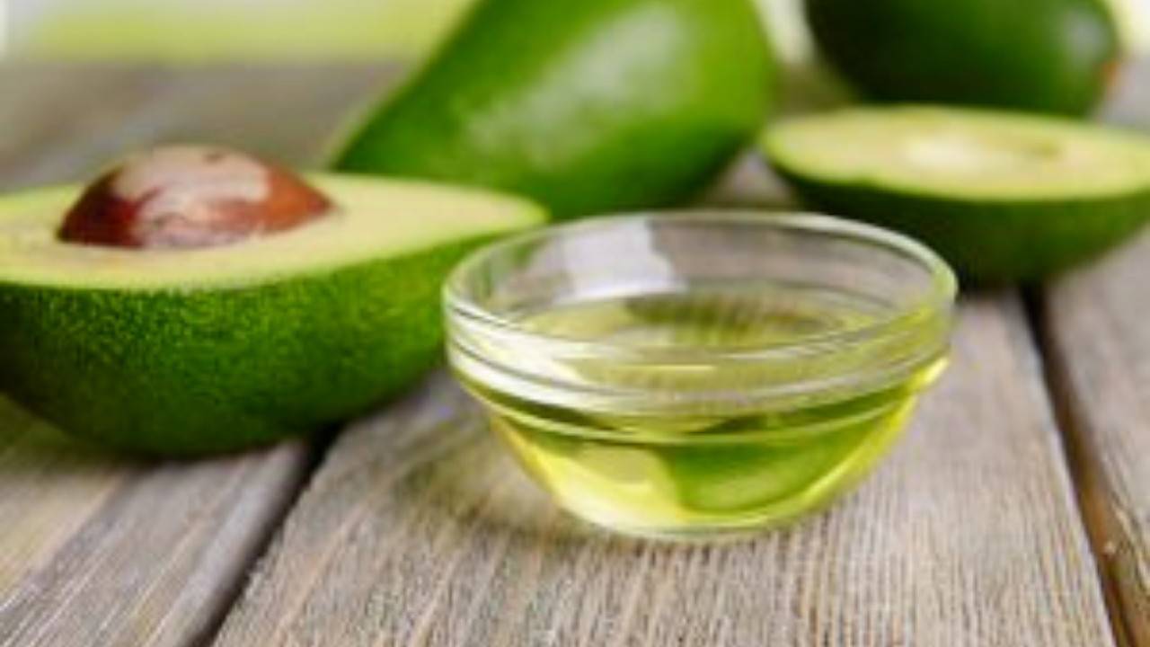Avocado and avocado oil photo
