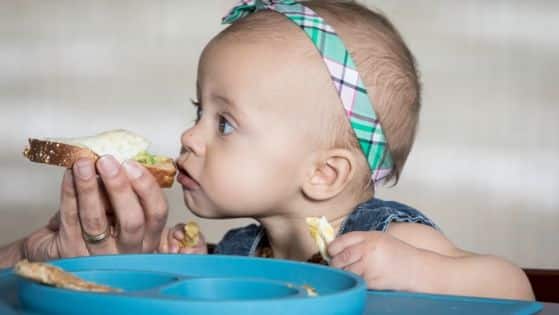Baby led Weaning First Foods