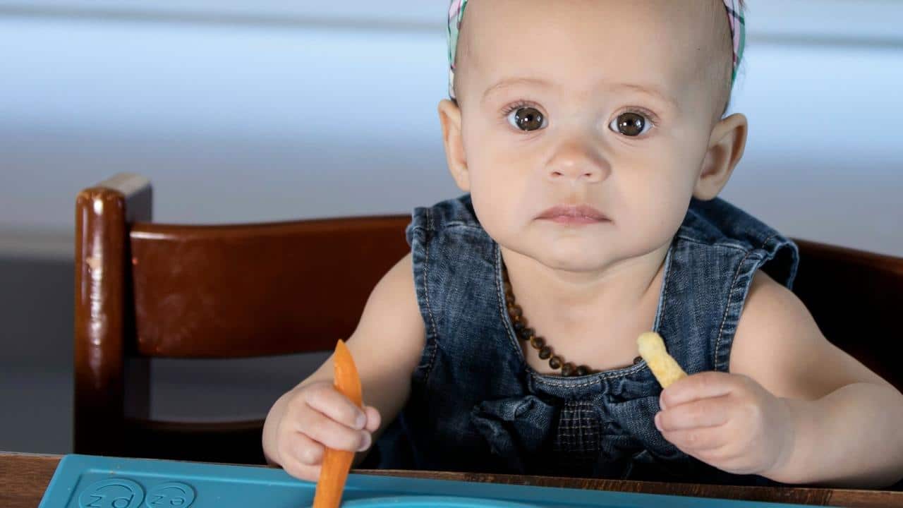 When to start your baby on solid food using Baby Led Weaning