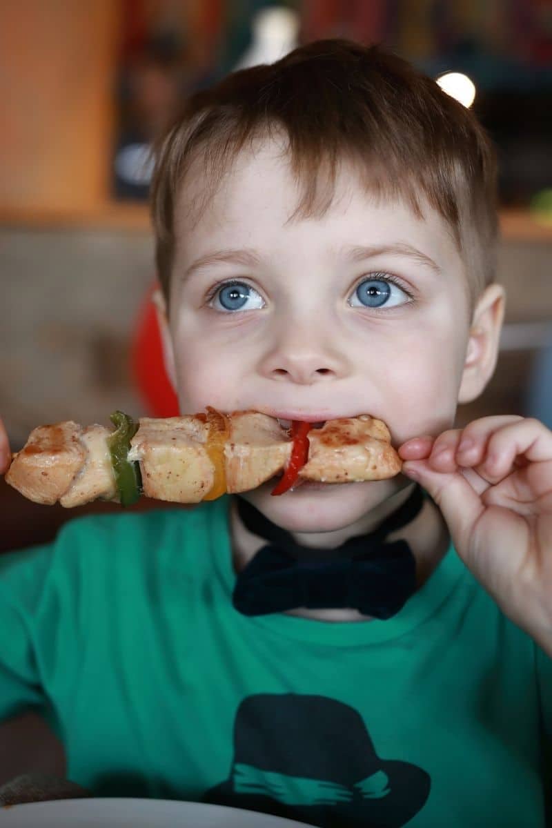 Sensory-Friendly Proteins for Kids - Feeding Picky Eaters & Jenny