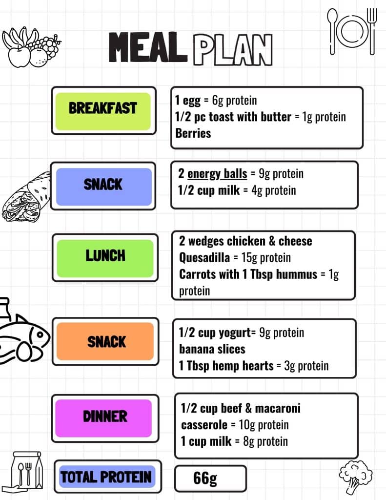 High protein meal plan for kids